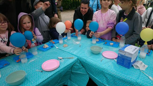 organizacja pikniku przedszkolnego, szkolnego, firmowego