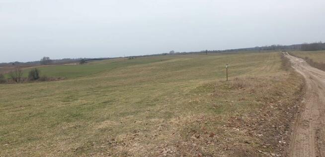 Działka budowlana o pow. 3099m2 Elganowo gmina Pasym