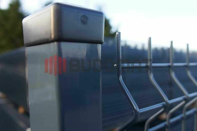 Panel ogrodzeniowy 3D zgrzewany 50/200 4 mm 5 mm