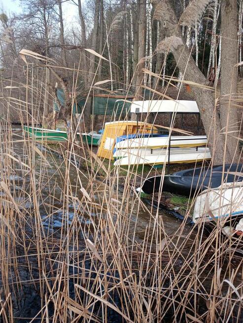 Noclegi nad jeziorem sosno