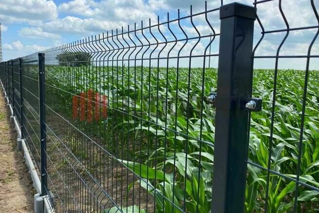 Panel ogrodzeniowy 3D zgrzewany 50/200 4 mm 5 mm