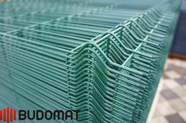 Panel ogrodzeniowy 3D zgrzewany 50/200 4 mm 5 mm