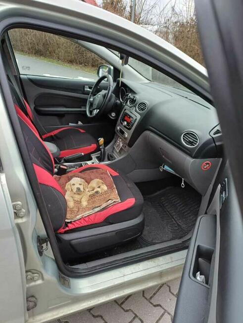 SPRZEDAM fORDA fOCUS