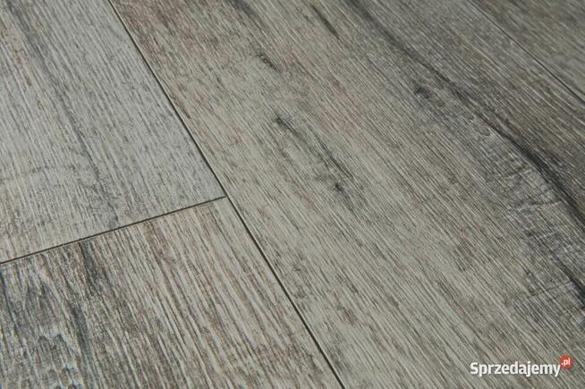 Panele Quick-Step BACP40037 Dąb Szary Historyczny CenaZaOpak