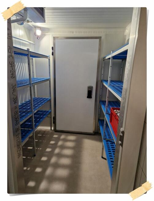 Regały i półki do chłodni