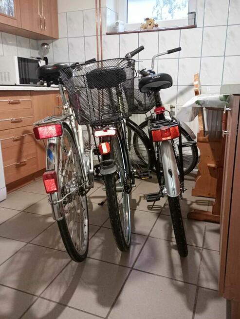 Noclegi nad jeziorem sosno