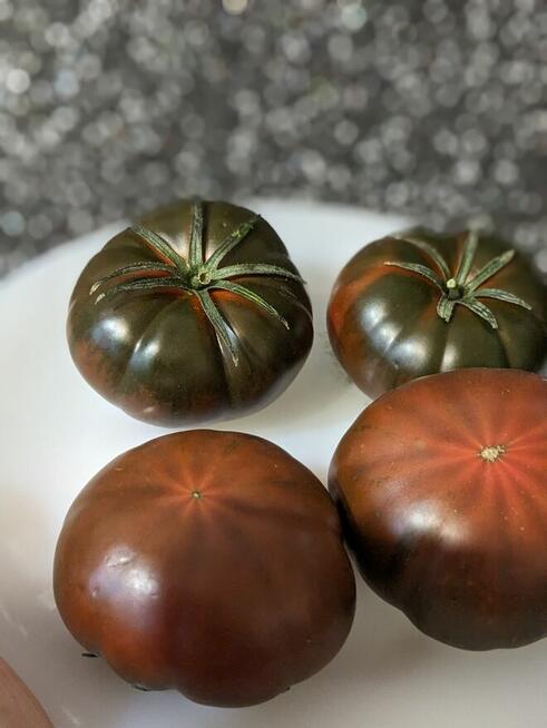 Pomidor San Marzano 3 na przetwory nasiona do kolekcji