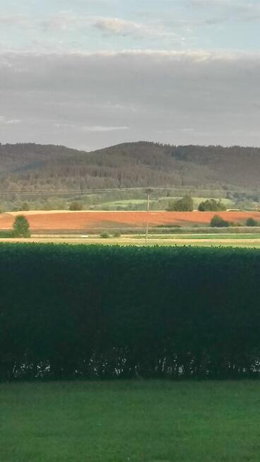 Zamiana z Kotliny Kłodzkiej na: świętokrzyskie, małopolskie