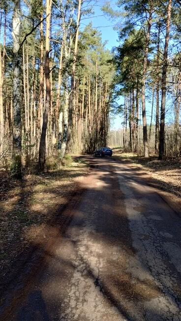 Działka leśna budowlana