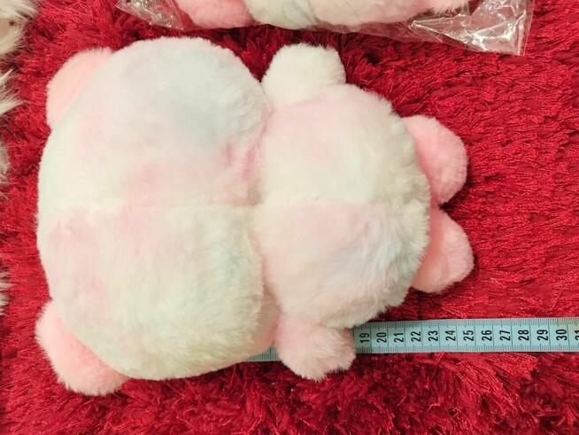 Maskotka Sanrio Cavalli Hello Kitty 25 cm