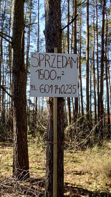 Działka leśna budowlana