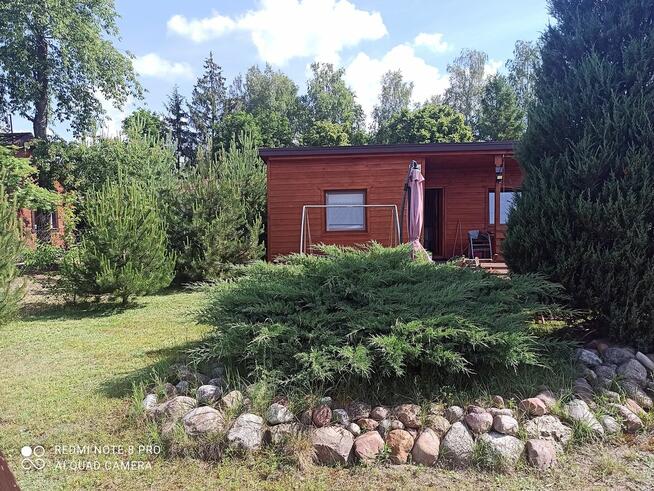 Okuninka - Jezioro Białe