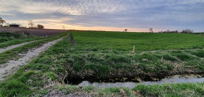 Działka siedliskowa pozwolenie na budowę Tarnowo Podgórne