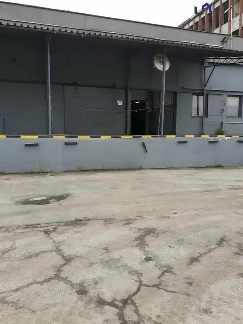 Lokal użytkowy Sosnowiec Sielec