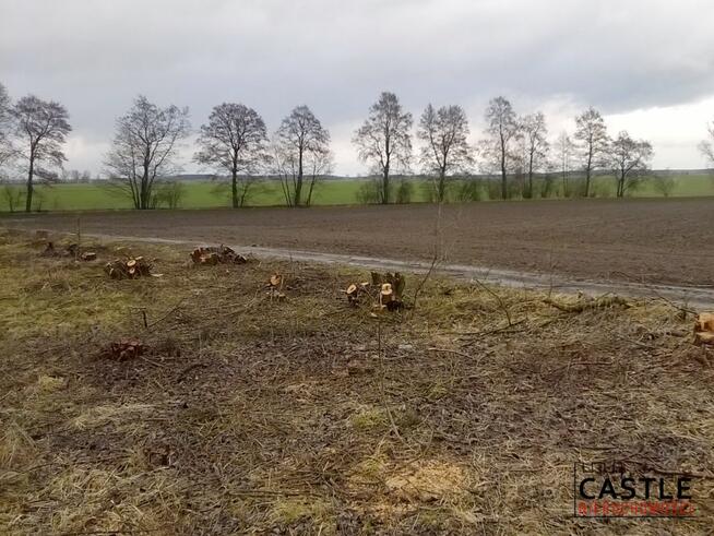 Działka budowlana Miłosławice gm. Mieścisko,