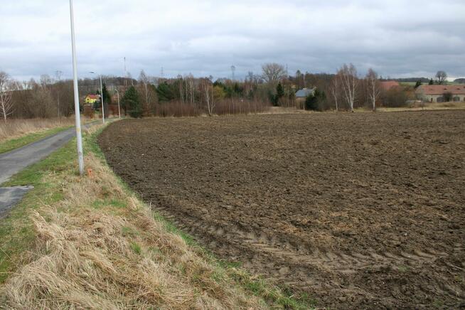 Ziemia na sprzedaż