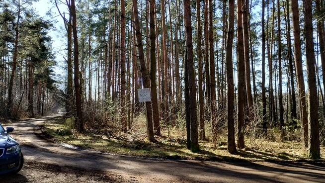 Działka leśna budowlana