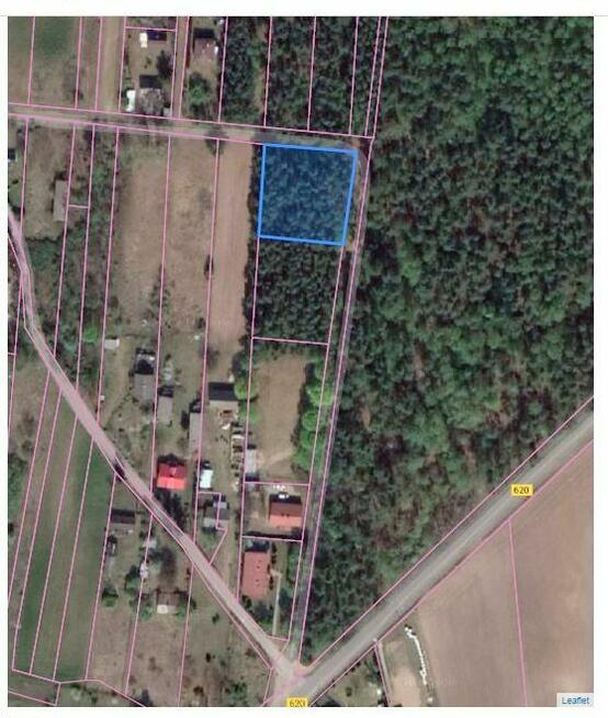 Działka leśna budowlana