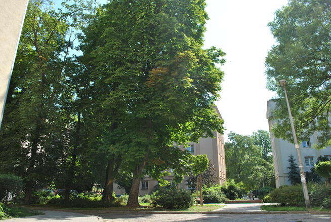 Wyposażona kawalerka blisko metra tanio