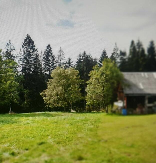 Sprzedam dom z działką