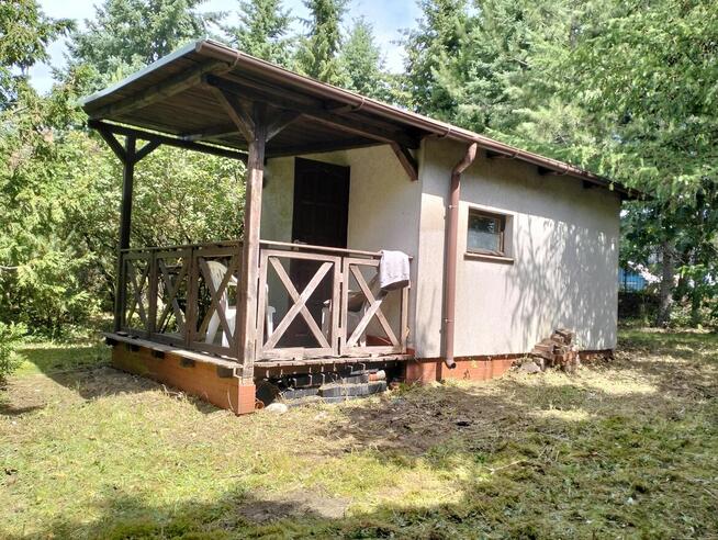 Opieka nad ogrodami i terenami zielonymi