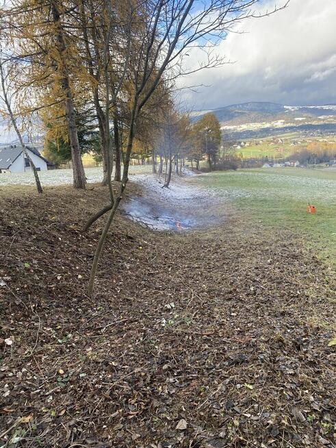 Wycinka przycinka drzew usługi ogrodowe