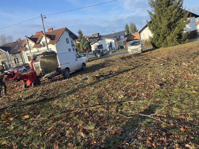 Wycinka przycinka drzew usługi ogrodowe