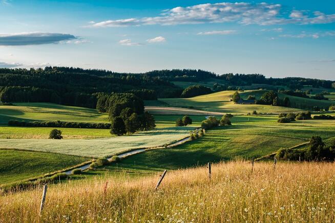 +/+/+/+ KUPIĘ DZIAŁKĘ rolną, budowlaną, las