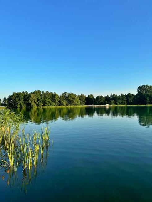 Wynajmę domek letniskowy w Dolinie Rospudy z linią brzegową!