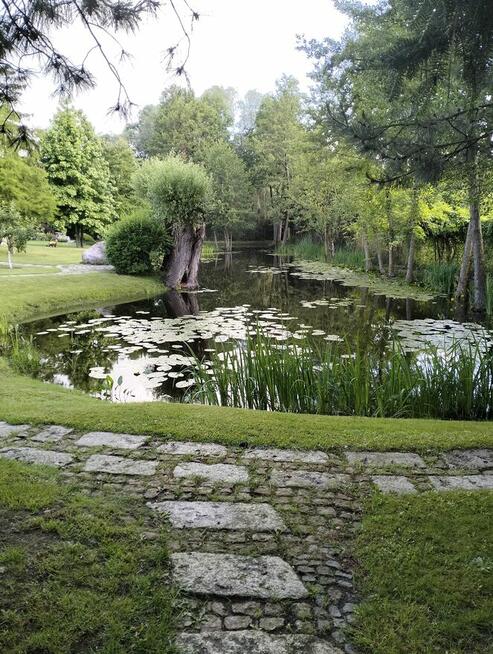 Opieka nad ogrodami i terenami zielonymi
