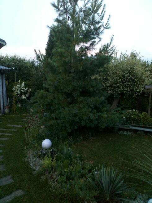 działka rod przyjaźń Szczecin