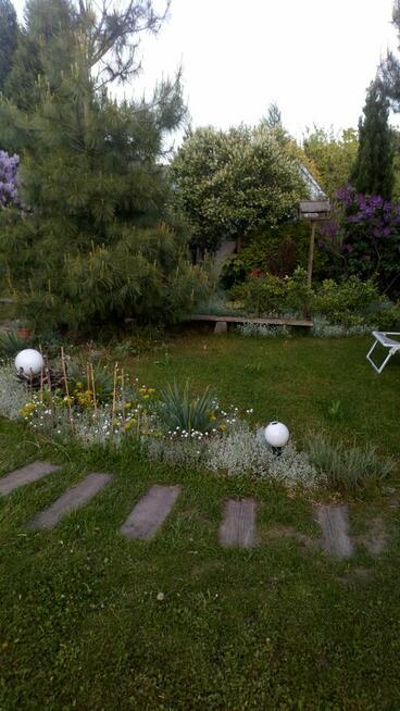 działka rod przyjaźń Szczecin