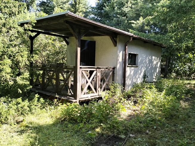 Opieka nad ogrodami i terenami zielonymi