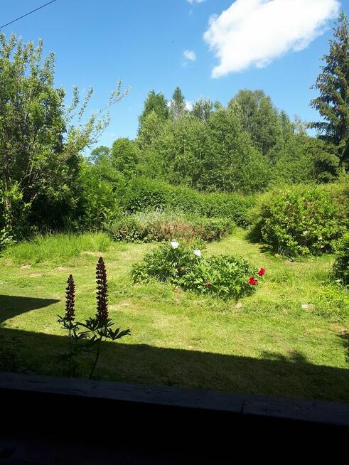 Sprzedam dom z działką