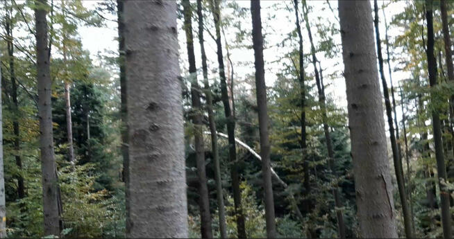 Grunt leśny 1,4 ha woj. małopolskie, pow. gorlicki, gm. Ropa