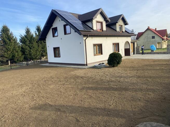 Wycinka przycinka drzew usługi ogrodowe