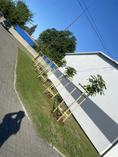 Pielęgnacja ogrodów koszenie i prace porzadkowe