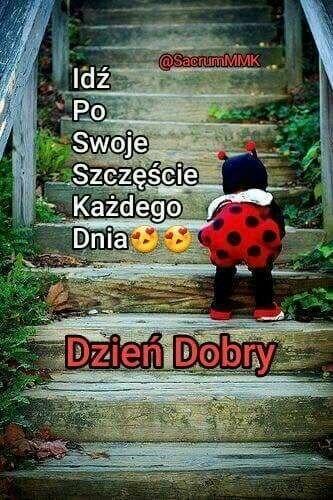 WOLNY