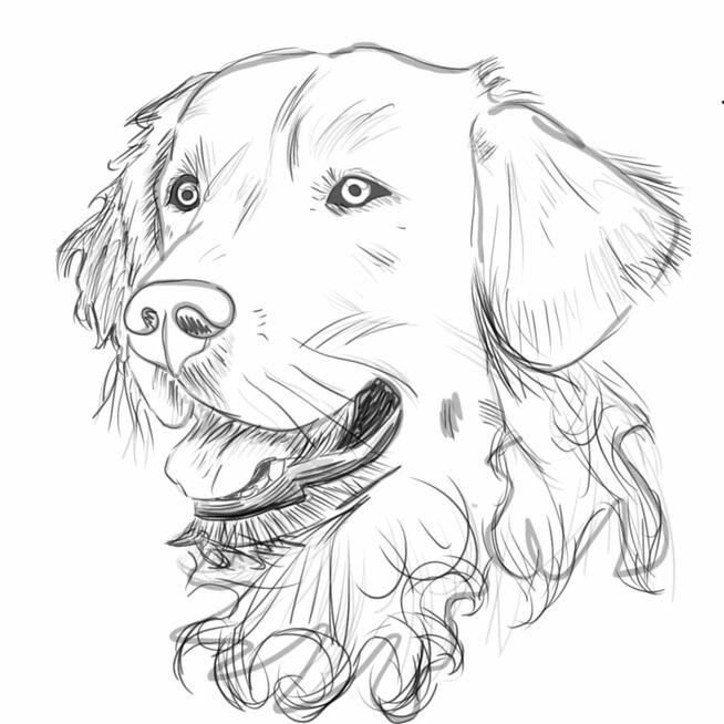 Rysunki, plakaty, szkice