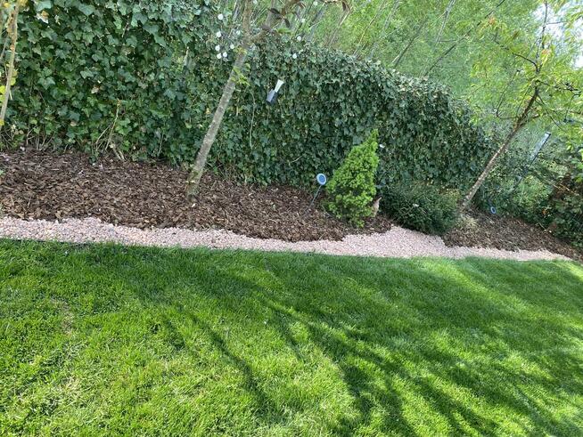 Pielęgnacja ogrodów koszenie i prace porzadkowe