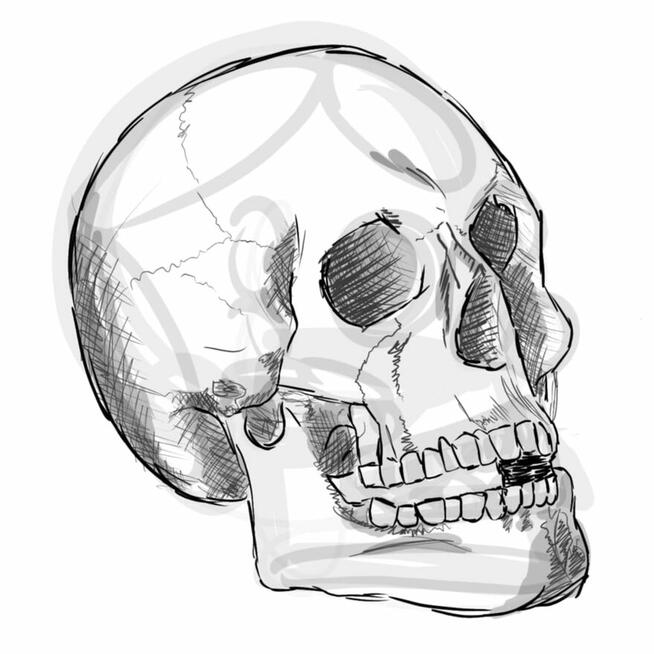 Rysunki, plakaty, szkice