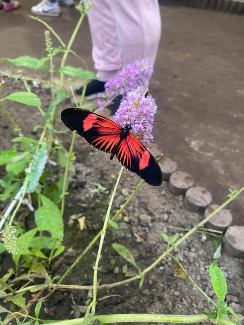 BYŁO BY MIŁO POZNAĆ PANIĄ JAKO PRZYJACIÓŁKĘ NIE TYLKO OD ...