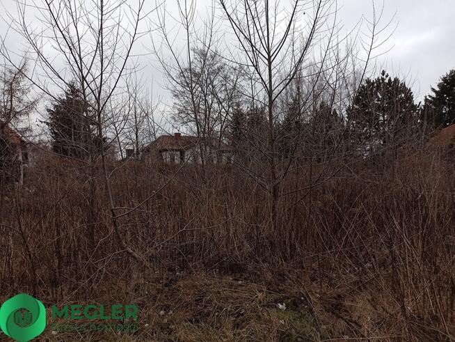 Działka na granicy Komorowa i Pęcic