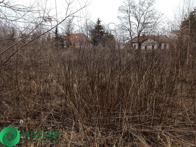 Działka na granicy Komorowa i Pęcic