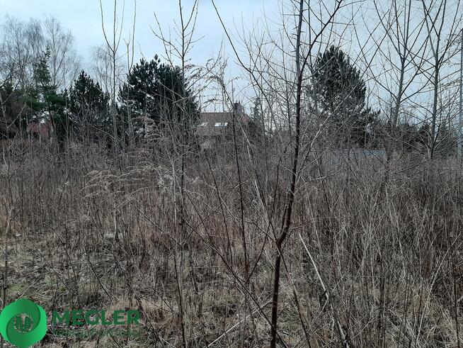 Działka na granicy Komorowa i Pęcic