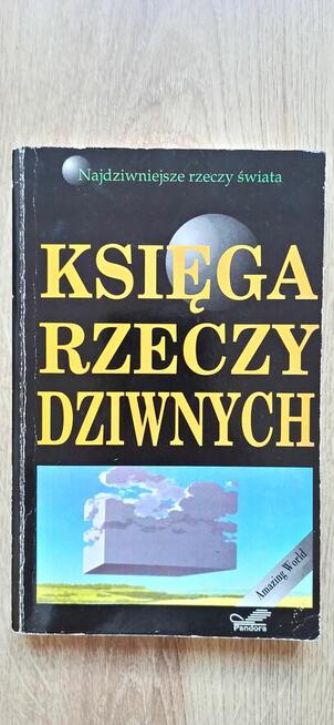 Księga rzeczy dziwnych - Thomas De Jean