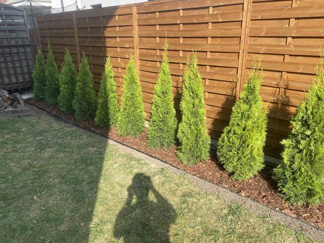 Pielęgnacja ogrodów koszenie i prace porzadkowe