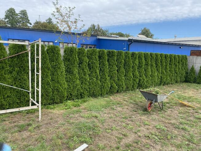 Pielęgnacja ogrodów koszenie i prace porzadkowe