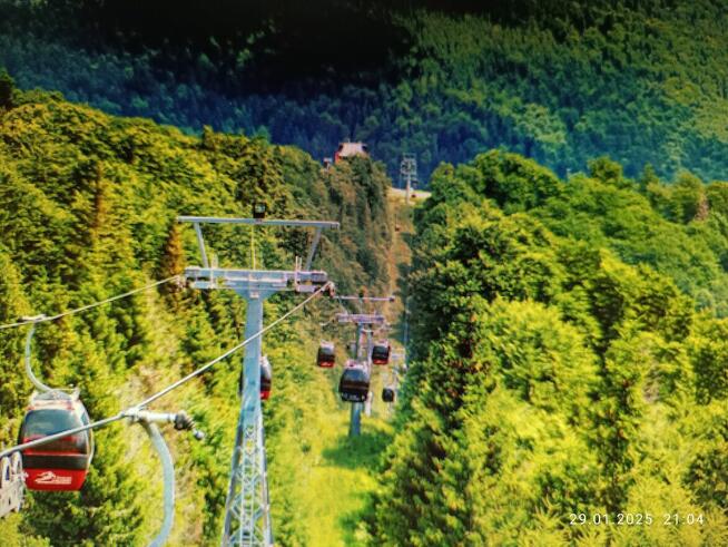 Działka w pobliżu Krynicy