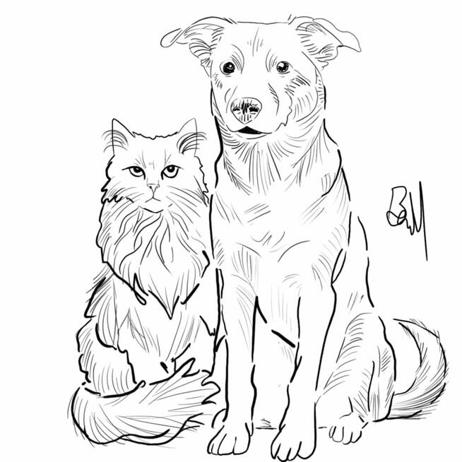 Rysunki, plakaty, szkice